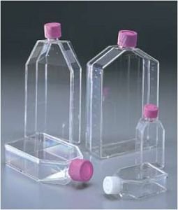 Cell Culture Flask