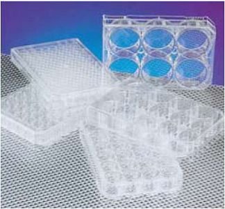 Multi-well Plate