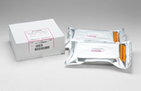 Loopamp RNA Amplification Kit (RT-LAMP)
