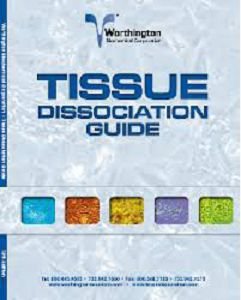 Tissue Dissociation Enzymes