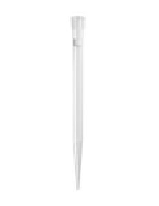 Gel Loading and Gel Cutting Tips