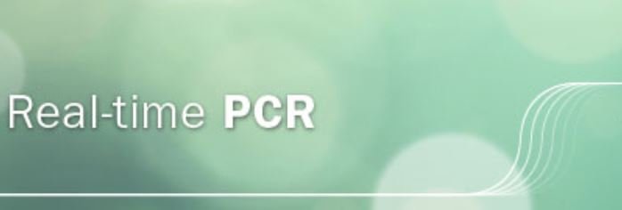 Real-Time PCR