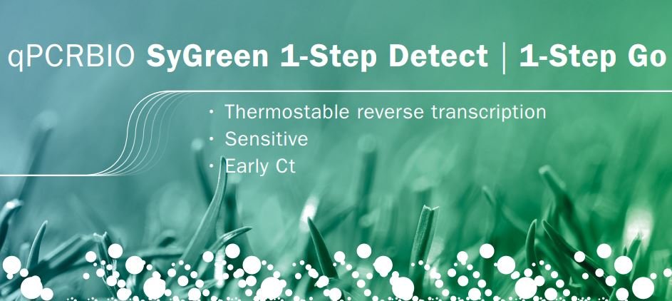 One-step RT q-PCR