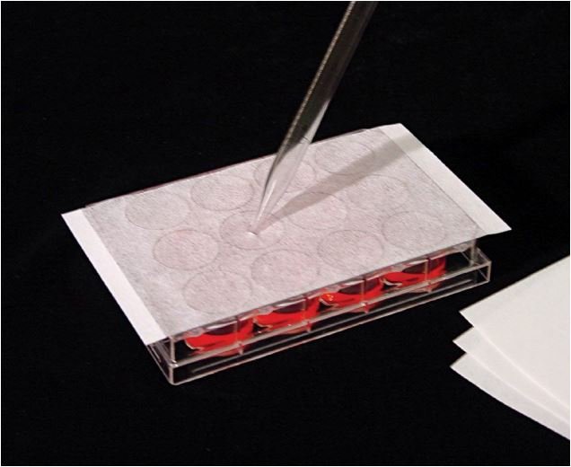 EXCEL Sealing Products